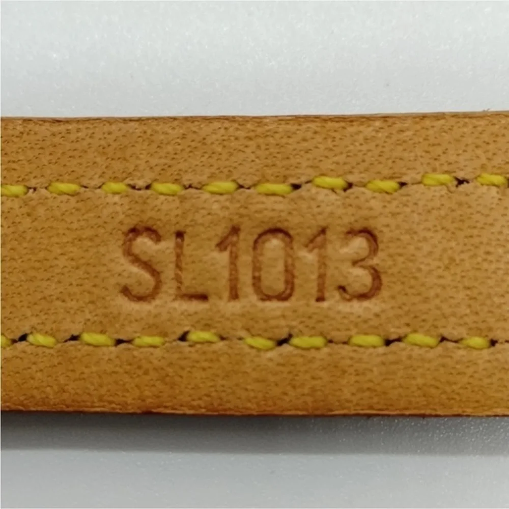 Louis Vuitton Baxter Dog Collar